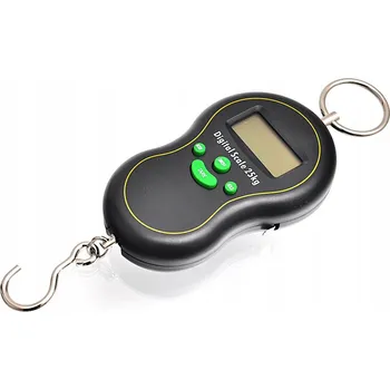 Zabezpečení domácnosti Elektronická váha York