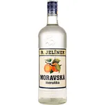 Rudolf Jelínek Moravská meruňka 30 %