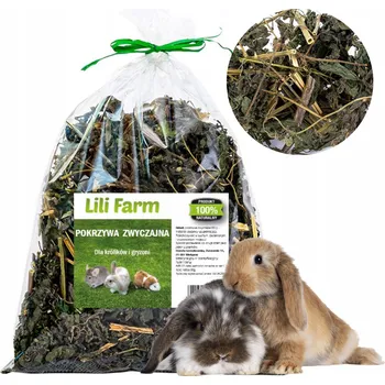 Krmivo pro hlodavce LILI FARM bylinkové pamlsky 0,08 kg pro křeček, osmák degu, králíka, myš, pískomila, potkana, činčilu, morče, veverku