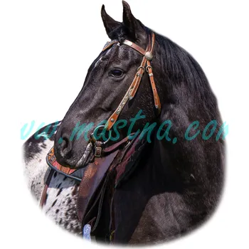 Appaloosa, samolepka kůň, koně