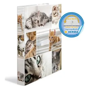Archivační box Segregator A4 2R 35mm Koty, Herma