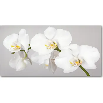 Obraz Panel mezi kuchyňský nábytek Orchidej 140x70 + LEPIDLO