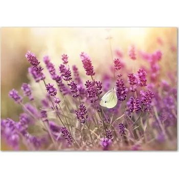 Obraz Skleněný panel 70 x 100 x 4 mm tvrzené sklo broušené fialový