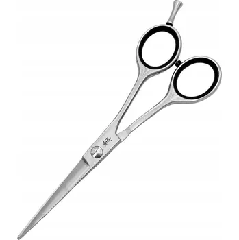 Kadeřnické nůžky ARTE Profesionální kadeřnické nůžky A-60 Stříbrná matná