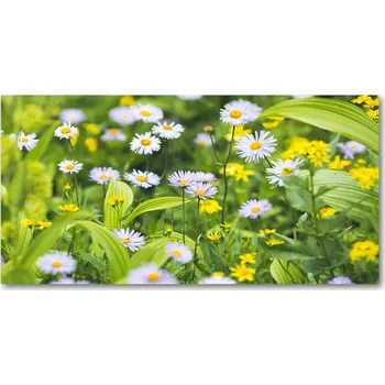 Obraz Kuchyňský panel mezi skříňky Stokrotki 140x70 + lepidlo