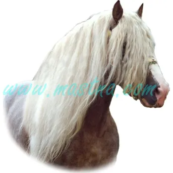 Českomoravský belgik Baron, koně, hřebec, samolepka