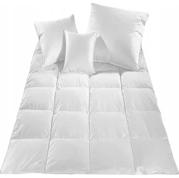 Prostěradlo Přikrývka 4sleep bavlna 140 cm x 200 cm bílá