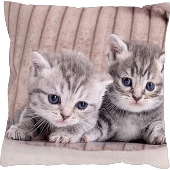 Povlak na polštářek Povlak na polštář 40x40 na zip velur - Koťátka