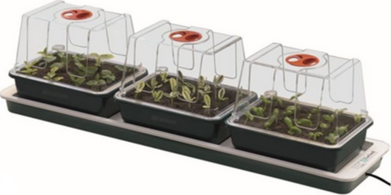 Garland Products Propagator 3 Top Windowsill 30387 76 x 18,5 x 20,5 cm ...