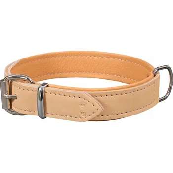 Obojek pro psa Kožený obojek pro psa Dingo vel. XS