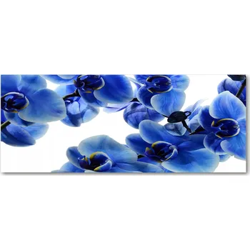 Obraz Lacobel pod linku v kuchyni Modrá orchidej XXL