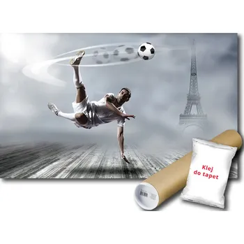 Fototapeta FOTOTAPETA FOTBALOVÝ MÍČ HŘIŠTĚ FL 152x104 F2255 #