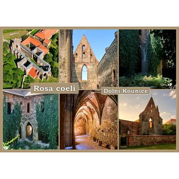 Zřícenina kostela a kláštera Rosa coeli