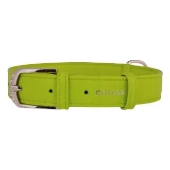 Obojek pro psa Kožený obojek pro psa WAUDOG COLLAR vel. L