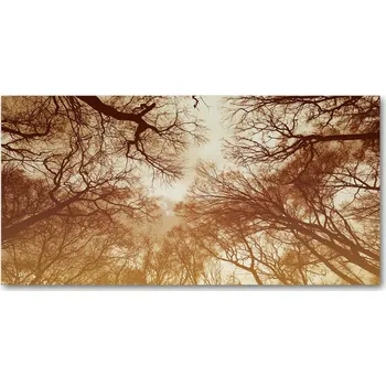 Obraz Panel z tvrzené sklo do kuchyně Les 140x70 + LEPIDLO