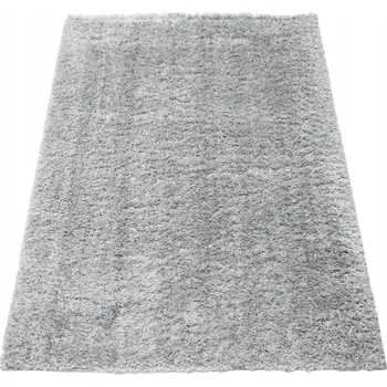 Koupelnová předložka KOUPELNOVÁ PŘEDLOŽKA PROTISKLUZOVÁ SHAGGY DO KOUPELNY 60X100