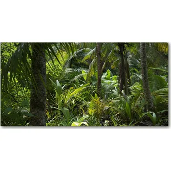 Obraz Kuchyňský panel Tropický les 140x70 cm + LEPIDLO