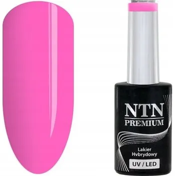 Lak na nehty Hybridní lak NTN Premium 161 na nehty 5g