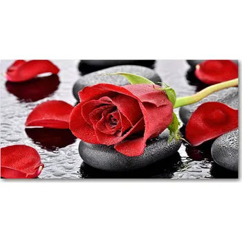 Obraz Kuchyňský panel Červená růže 100x50 cm + LEPIDLO