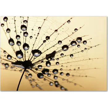 Obraz Skleněný panel 70 x 100 x 4 mm z tvrzené sklo, broušený, v odstínech hnědé a béžové