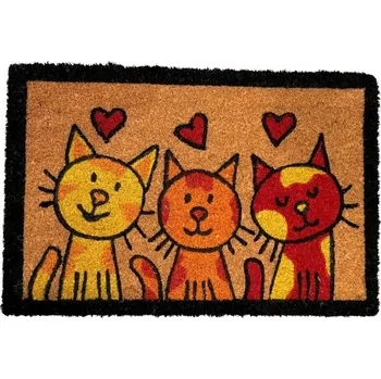 Rohožka Kokosová rohožka hotová 40 x 60 cm