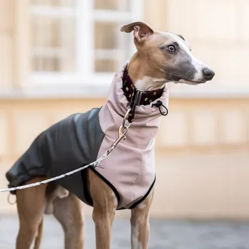 Moto oblečení Oblečení pro chrta - softshellová bluza dla Charta M