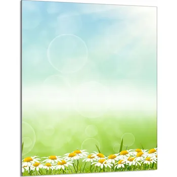 Kuchyňské prkénko Krájecí deska TMK ArtDeko sklo 1 ks