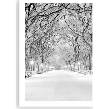 Obraz Plakát bez rámu do obýváku ložnice 50x70 sníh moderní módní obraz