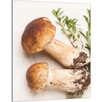 Obraz Krájecí deska TMK ArtDeko sklo 1 ks