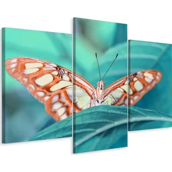 Obraz Obraz TRYPTYCH Motýl LIST Příroda Makro 3D 90x60