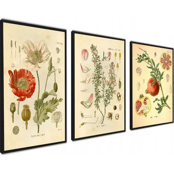 Obraz Plakát Sada plakátů Plakáty do kuchyně, rostlinné plakáty, plakáty do kuchyně bez rámu 40 x 50 cm