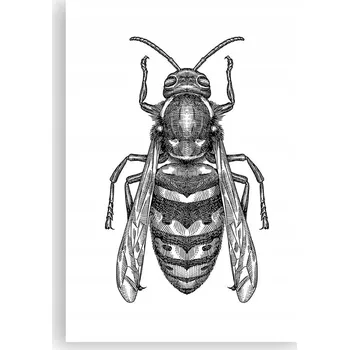 Obraz Plakát na zeď bez rámu 70x100 vosa foto-obraz plakáty do obýváku ložnice