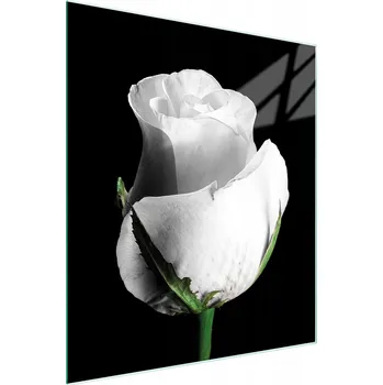 Kuchyňské prkénko Krájecí deska TMK ArtDeko sklo 1 ks