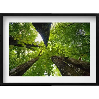 Obraz Obraz v černém rámu na zeď Zelené listnaté stromy 70x50 cm