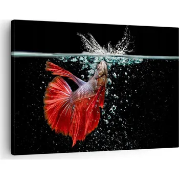 Obraz Obraz na plátně do obýváku, ložnice 70x50 abstrakce foto obrazy na zeď