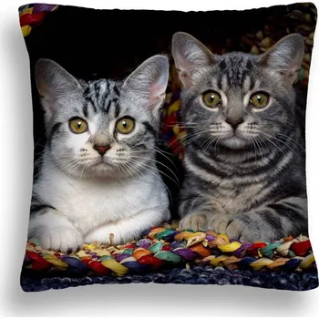 Polštář VELKÝ 50*50 POLŠTÁŘ KOČKA 07 BYLI JEDNOU DVĚ KOČIČKY