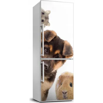 Fototapeta Samolepka na lednici - zvířata, 70x190 cm