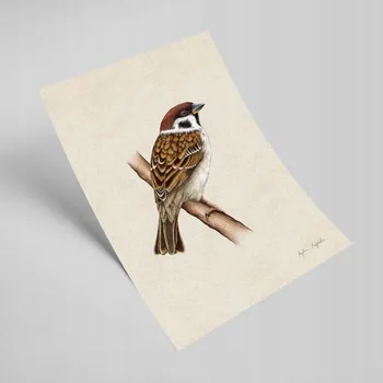 Obraz Plakát Mazurek bez rámu 21 x 30 cm