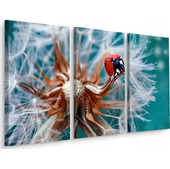 Obraz Obraz TRYPTYCH Květ Poupě Biedronka 3D 60x40
