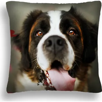 Polštář POLŠTÁŘ PRO PSA 09 JASIEK BERNARDYN JAZYK PL POUZDRO 40X40