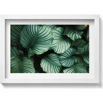 Obraz Dekorativní nástěnný obraz v rámu s grafikou Velké zelené listy 30x20 cm