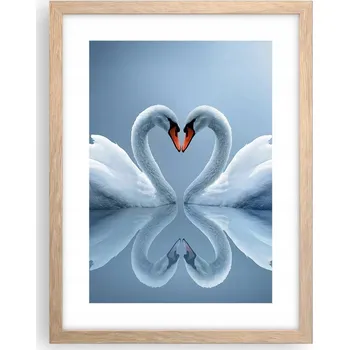 Obraz Obraz plakát v rámu světlý dub do obýváku 30x40 labutě plakáty na zeď