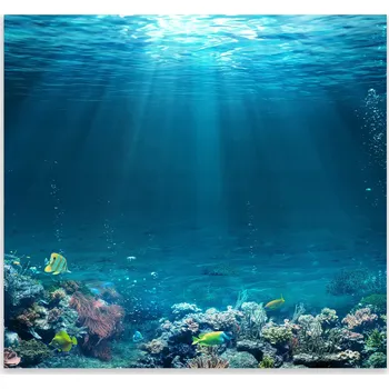 Kuchyňské prkénko Skleněná Ochranná Deska a Krájecí Prkénko | Indukce, Sporák ds-0578