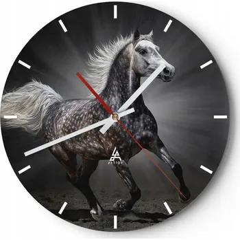 Hodiny Nástěnné hodiny do kuchyně 30x30 Zvířata Skleněné hodiny do obýváku Tiché