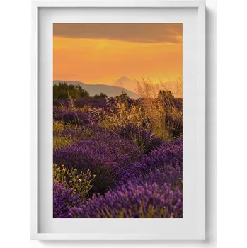 Obraz Obraz na zeď dekorace interiéru Levandulová louka Provence Francie 50x70 cm