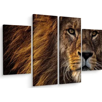 Obraz Čtyřdílný obraz LEV Divoká Kočka Příroda 3D 80x60