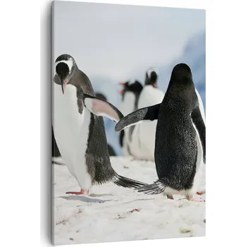 Obraz Obraz na plátně do obýváku ložnice 50x70 tučňák obrazy na zeď canvas