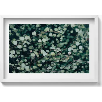 Obraz Obraz v rámu na zeď do obýváku Drobné lístky rostliny 60x40 cm