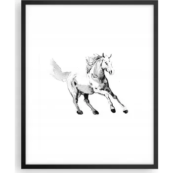 Obraz Foto obraz, plakát na zeď v černém rámu 40x50 kůň, plakáty do obýváku