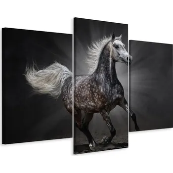 Obraz Obraz Tryptych Kůň Arabský v Cvalu Příroda 90x60